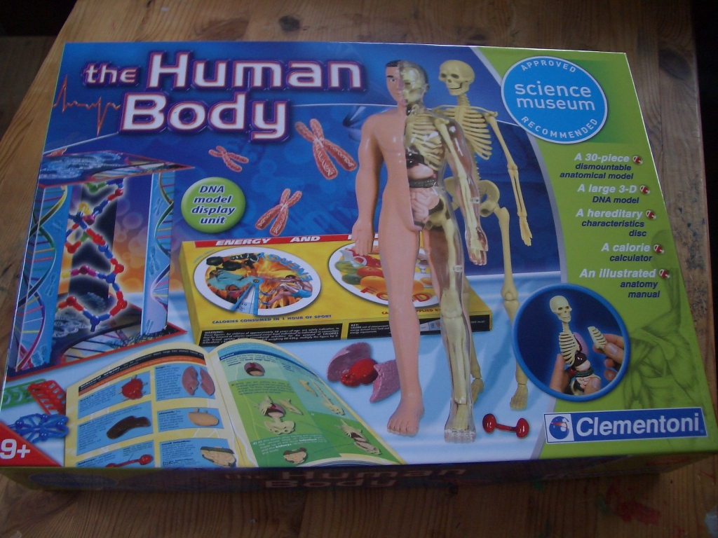 human body biology set
