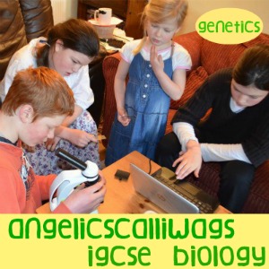 IGCSE BIOLOGY GENETICS